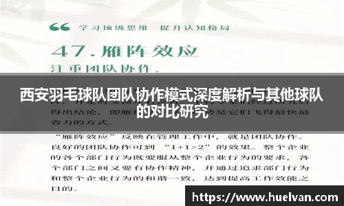 西安羽毛球队团队协作模式深度解析与其他球队的对比研究